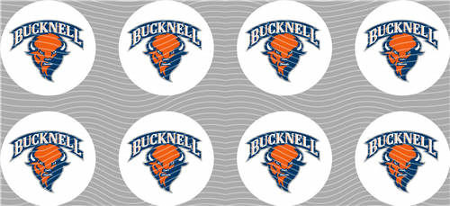 16oz Latest Bestseller-C 3947